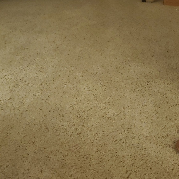 Meet your Posher, Bridgette - Picture 1 of 1